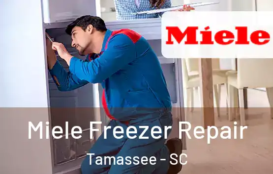  Miele Freezer Repair Tamassee - SC