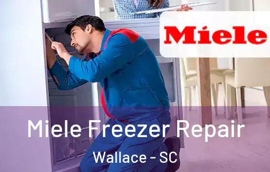  Miele Freezer Repair Wallace - SC