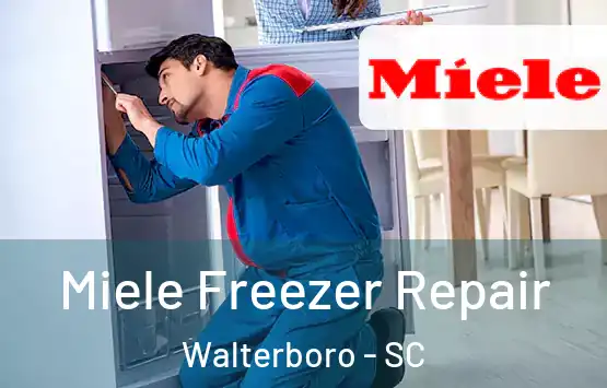  Miele Freezer Repair Walterboro - SC