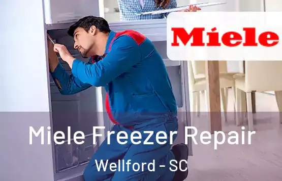  Miele Freezer Repair Wellford - SC