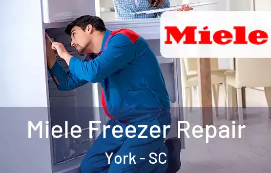  Miele Freezer Repair York - SC
