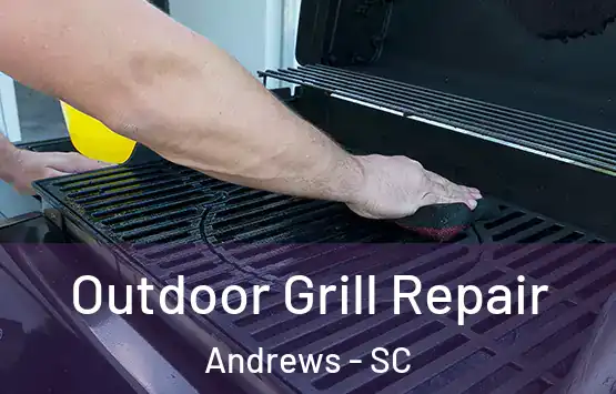  Outdoor Grill Repair Andrews - SC