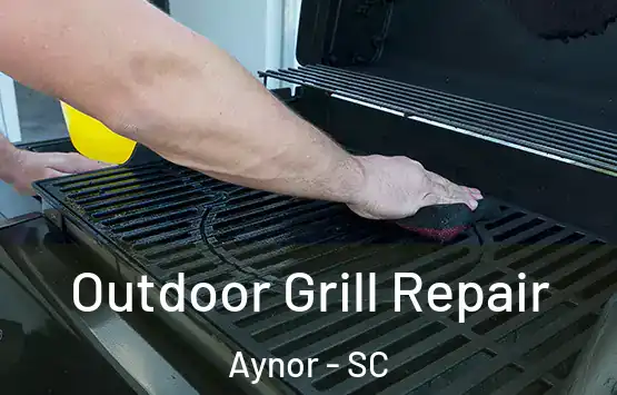  Outdoor Grill Repair Aynor - SC