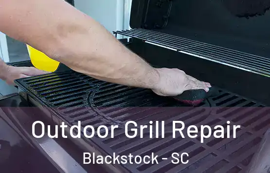  Outdoor Grill Repair Blackstock - SC