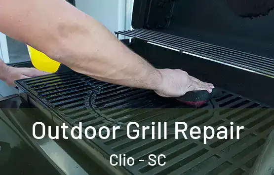  Outdoor Grill Repair Clio - SC