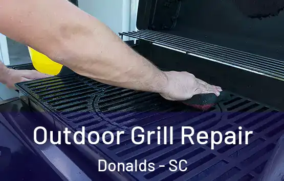 Outdoor Grill Repair Donalds - SC