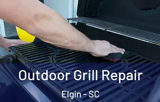  Outdoor Grill Repair Elgin - SC