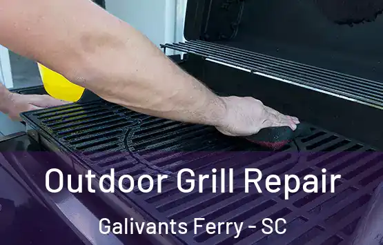  Outdoor Grill Repair Galivants Ferry - SC