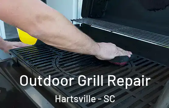  Outdoor Grill Repair Hartsville - SC