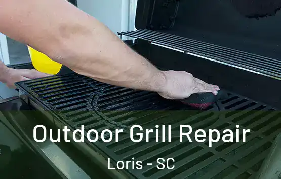  Outdoor Grill Repair Loris - SC