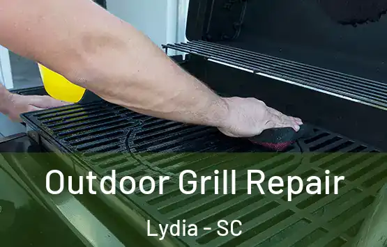  Outdoor Grill Repair Lydia - SC