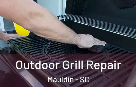  Outdoor Grill Repair Mauldin - SC