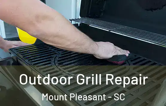  Outdoor Grill Repair Mount Pleasant - SC