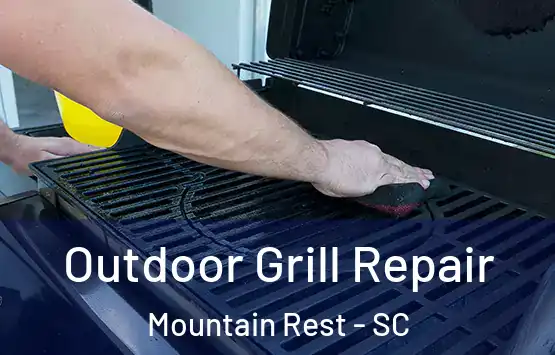 Outdoor Grill Repair Mountain Rest - SC
