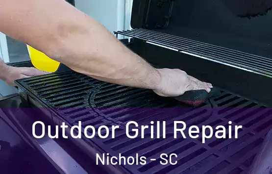  Outdoor Grill Repair Nichols - SC