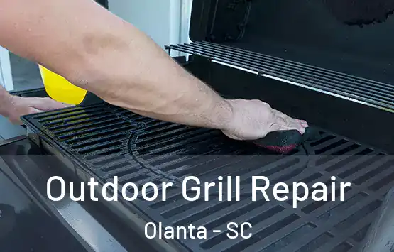  Outdoor Grill Repair Olanta - SC