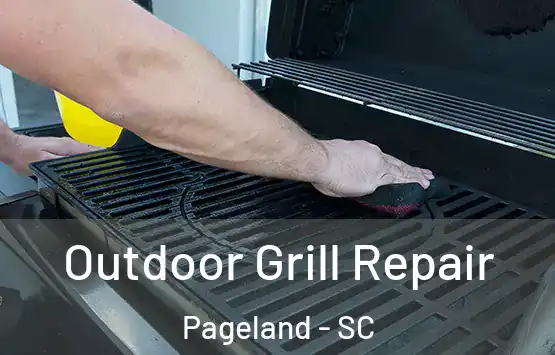  Outdoor Grill Repair Pageland - SC