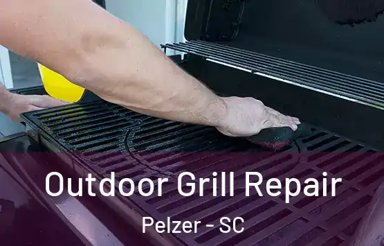  Outdoor Grill Repair Pelzer - SC