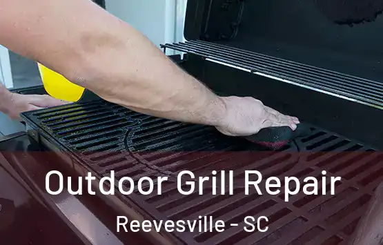  Outdoor Grill Repair Reevesville - SC