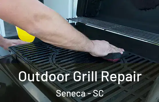  Outdoor Grill Repair Seneca - SC