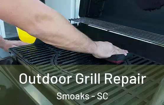  Outdoor Grill Repair Smoaks - SC