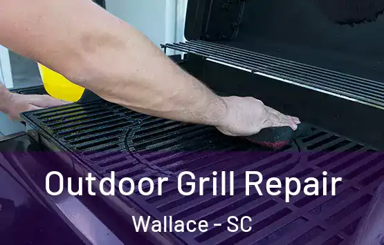  Outdoor Grill Repair Wallace - SC