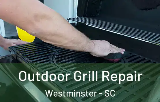  Outdoor Grill Repair Westminster - SC