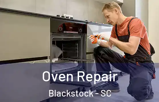  Oven Repair Blackstock - SC