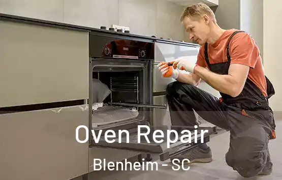  Oven Repair Blenheim - SC