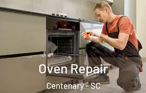  Oven Repair Centenary - SC