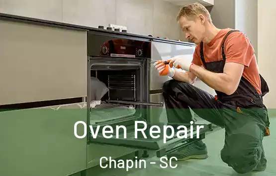  Oven Repair Chapin - SC