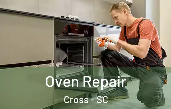  Oven Repair Cross - SC