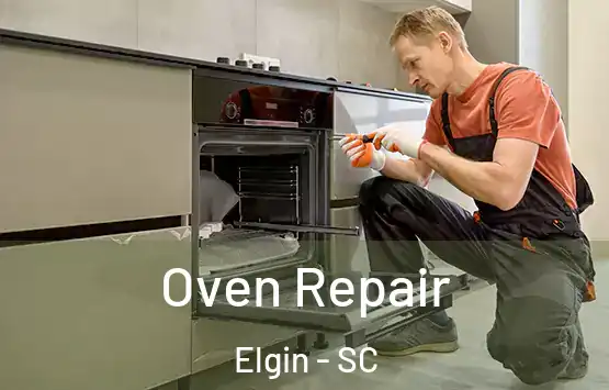  Oven Repair Elgin - SC