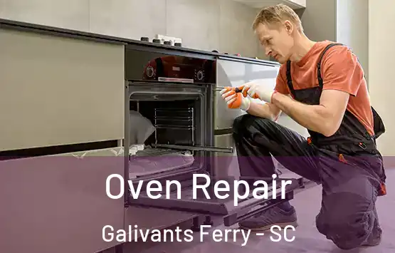  Oven Repair Galivants Ferry - SC