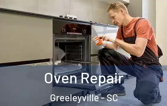  Oven Repair Greeleyville - SC