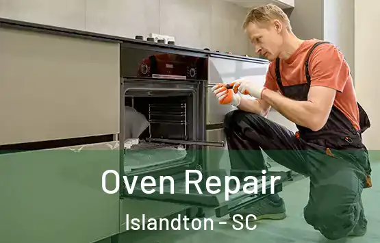  Oven Repair Islandton - SC