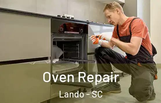  Oven Repair Lando - SC