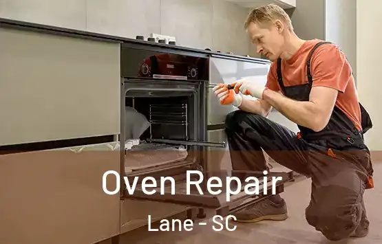 Oven Repair Lane - SC