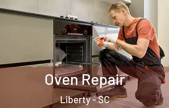  Oven Repair Liberty - SC