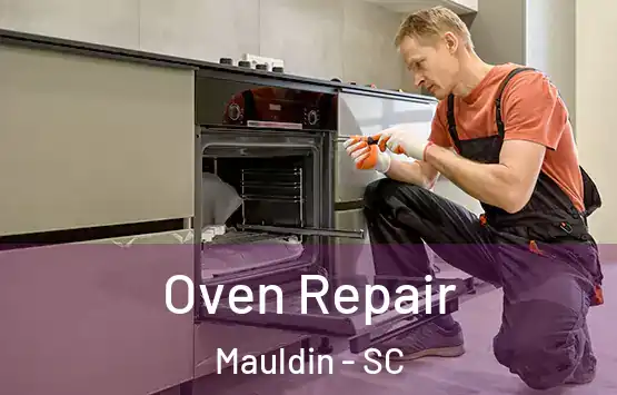  Oven Repair Mauldin - SC