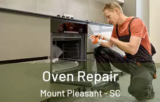  Oven Repair Mount Pleasant - SC