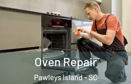  Oven Repair Pawleys Island - SC