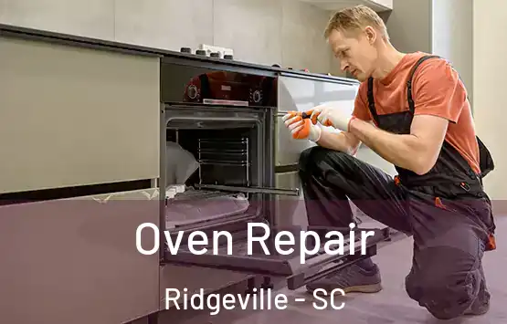  Oven Repair Ridgeville - SC