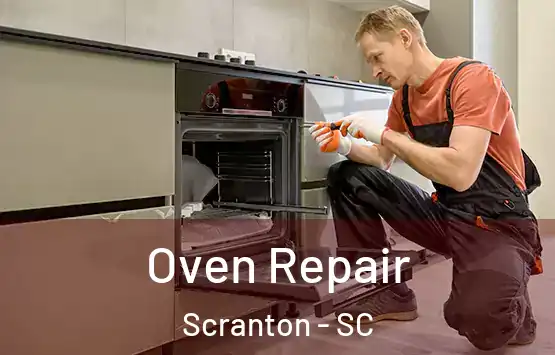  Oven Repair Scranton - SC