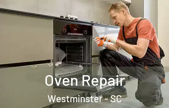  Oven Repair Westminster - SC