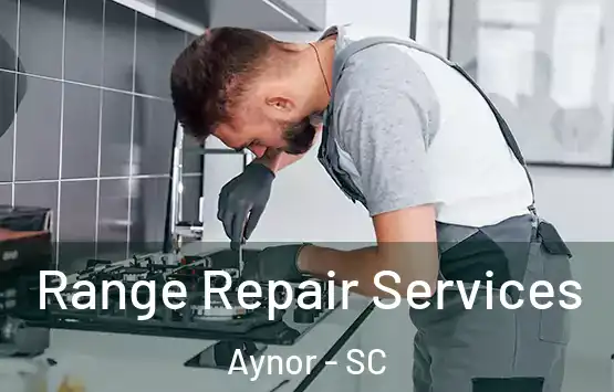  Range Repair Services Aynor - SC
