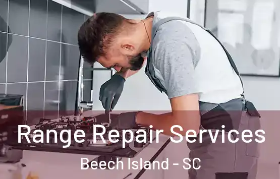  Range Repair Services Beech Island - SC