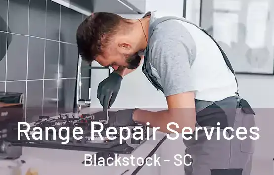  Range Repair Services Blackstock - SC