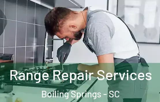  Range Repair Services Boiling Springs - SC
