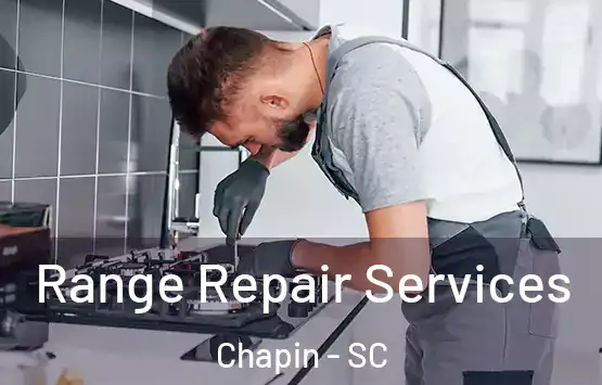  Range Repair Services Chapin - SC